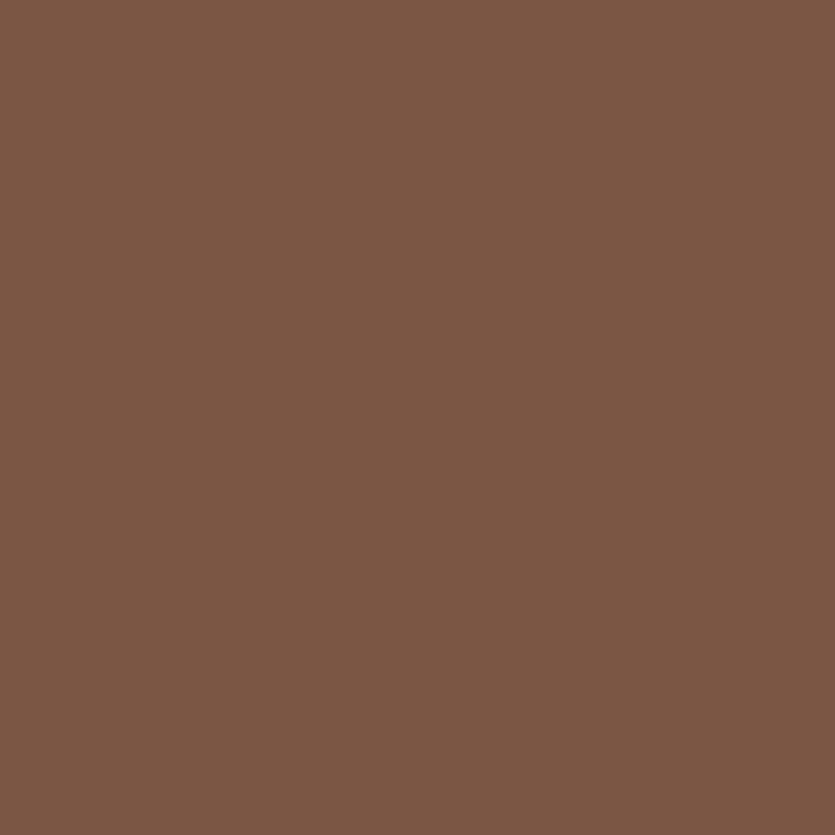 2099-30 Espresso - Paint Color