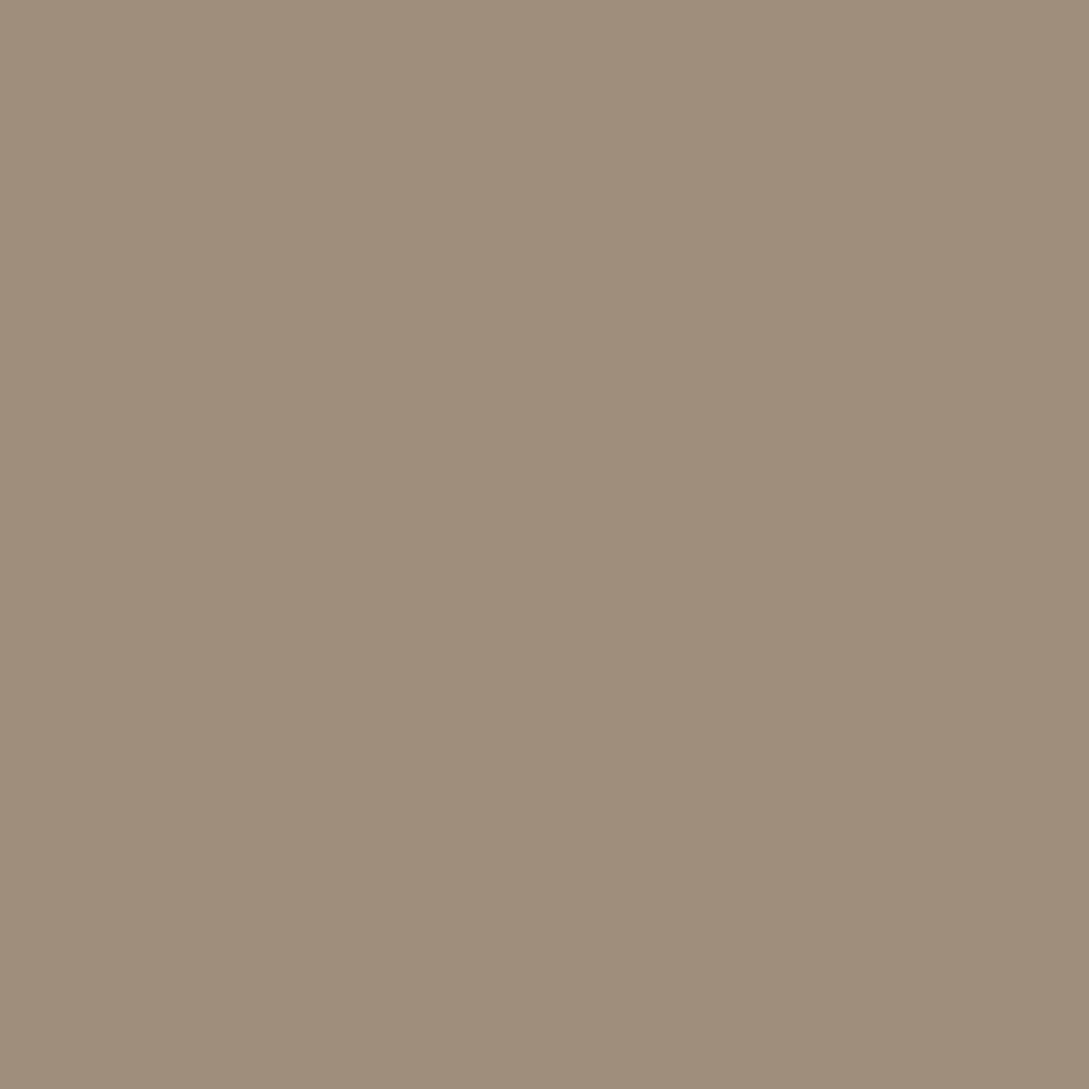 AC-33 Mesa Verde Tan - Paint Color  Benjamin Moore Paints at