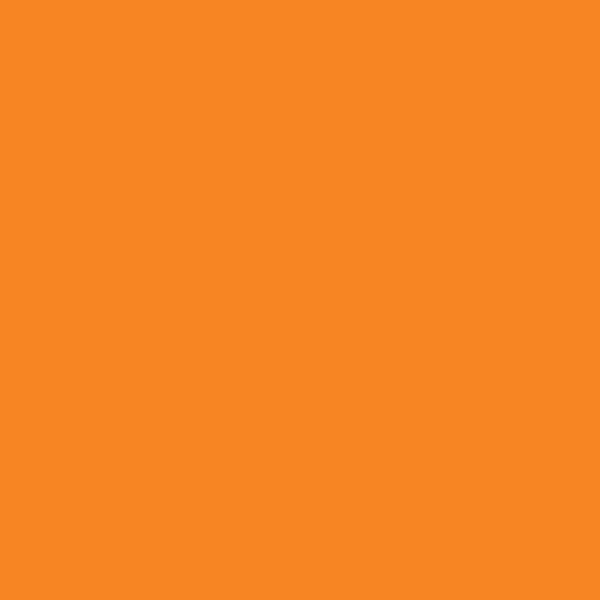 matte orange paint